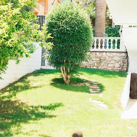 Oasis Σαλού